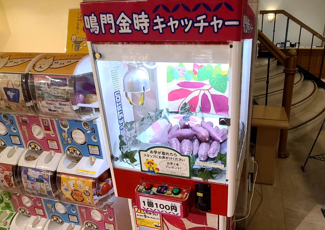 アオアヲ ナルトリゾートなると金時芋掘り体験