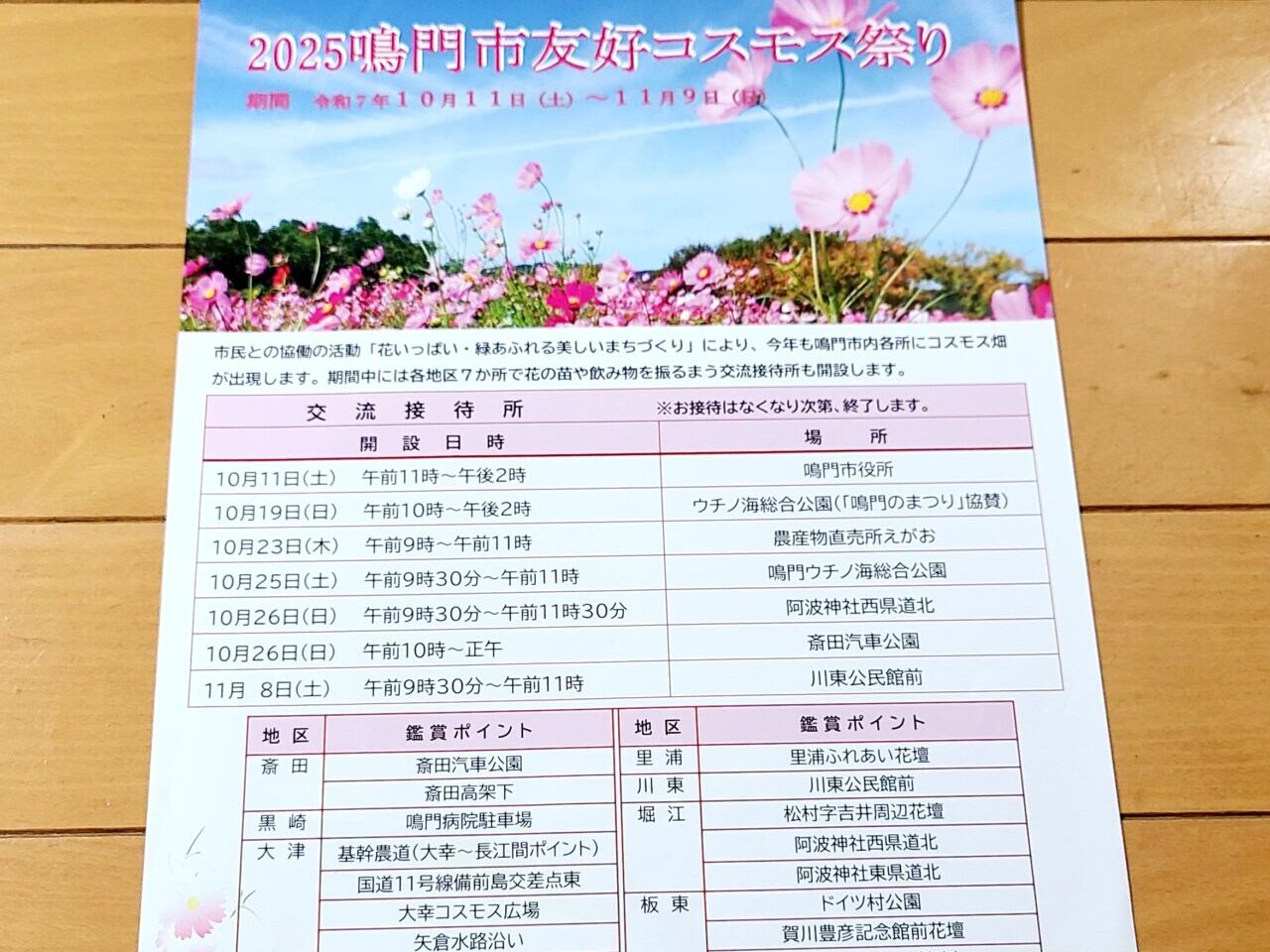 2025 鳴門市友好コスモス祭り