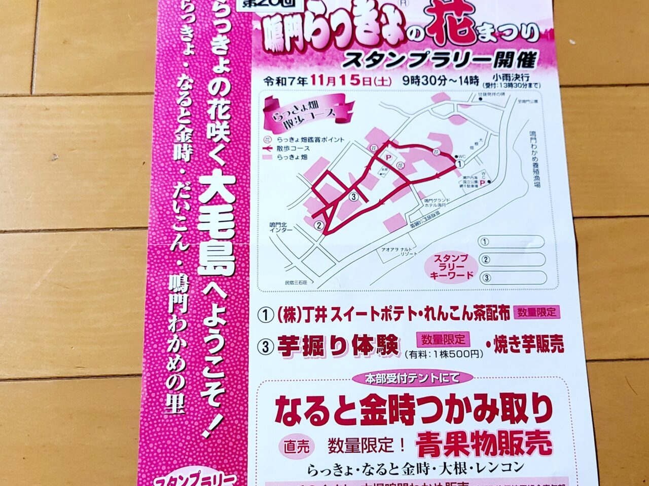 鳴門らっきょの花まつり